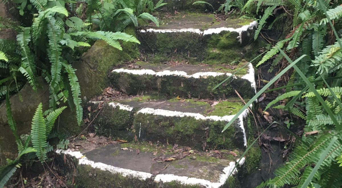 Gidney Stairs